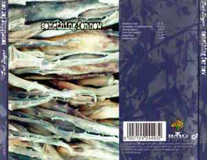 Just Jinger - Something For Now (CD)