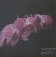 Buchanan - Epoch (CD)