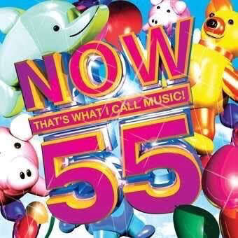 Various - NOW That`s What I Call Music! 55 (CD)