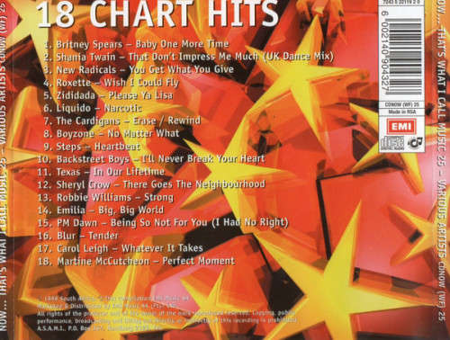 Various - Now That`s What I Call Music 25 (CD)