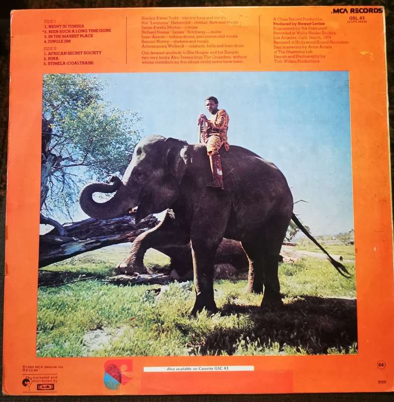Hugh Masekela - I Am Not Afraid (LP / Vinyl) MCA Records  GSL 43