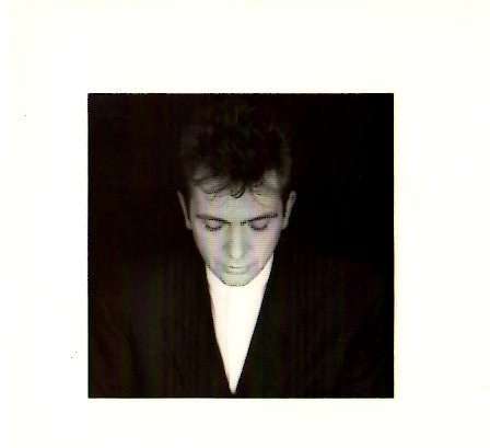 Peter Gabriel - Shaking the Tree: Sixteen Golden Greats (CD)