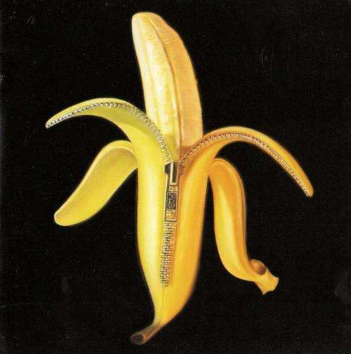Dandy Warhols - Welcome To The Monkey House (CD) BUY 8 or more CDs Get FREE SHIPPING