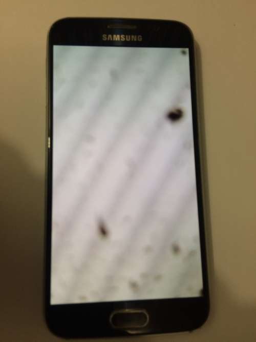 Samsung Galaxy S6 - No reserve - please read description
