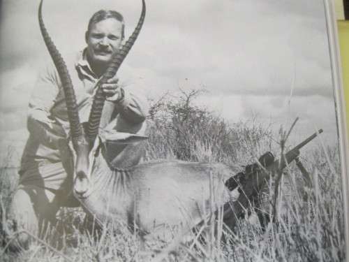 Safari Rifles by Craig Boddinton
