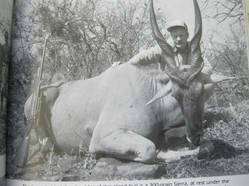 Safari Rifles by Craig Boddinton