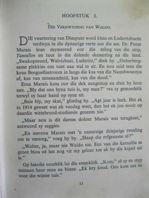 WADDA VAN DIE WOESTYN deur Cor Dirks
