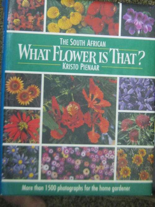 The South African What flower is that By Kristo Pienaar