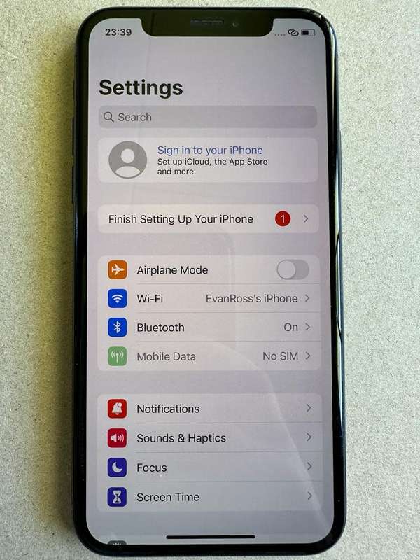iPhone X 256GB