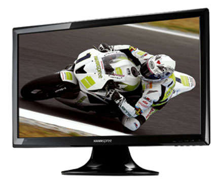 HANNSPREE 20 INCH LCD SCREEN WITH HDMI / SPEAKERS / VGA ETC