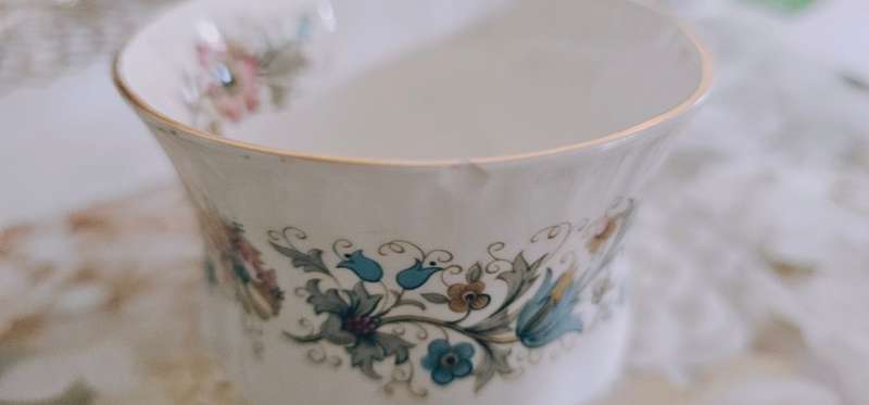 Vintage Paragon Meadowvale Bone China