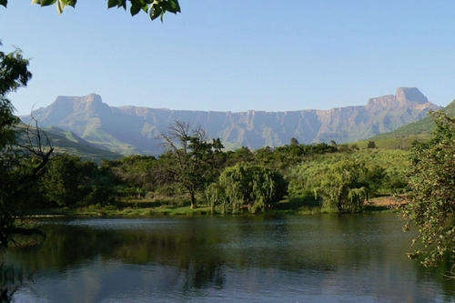 Timeshare - Drakensberg Sun - Drakensberg