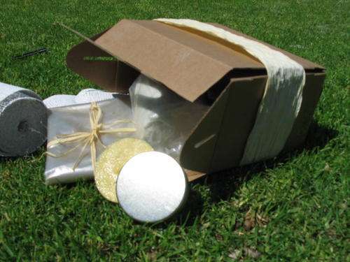 pregnancy belly cast kit