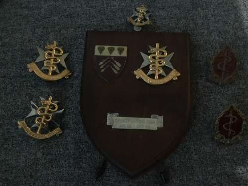 Sadf medical badges x5 and plaque