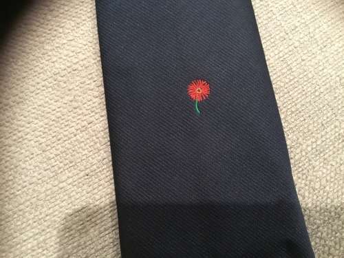 Northern Transvaal Daisy. rugby tie