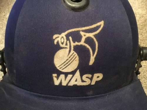 Wasp players cricket helmet