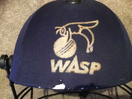 Wasp players cricket helmet