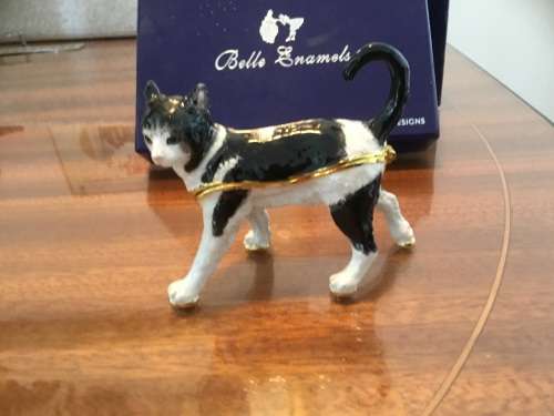BELLE ENAELS CAT