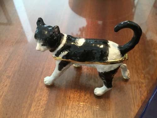 BELLE ENAELS CAT