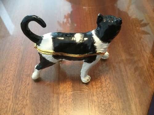 BELLE ENAELS CAT