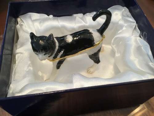BELLE ENAELS CAT