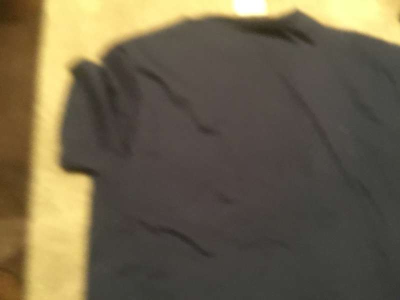 British /Irish  lions t shirt size Large