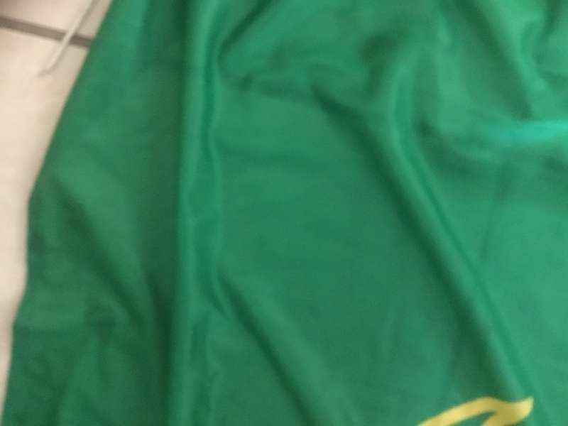 SA CRICKET  flag