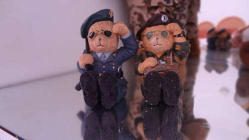 para ted