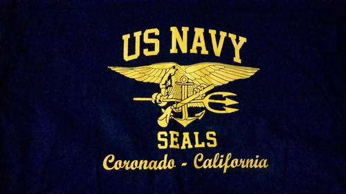 US Navy Seals t shirt    size xl
