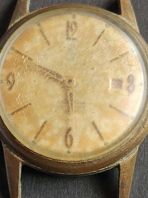 Olivia 17 Jewels Calendar Waterproof Anti Magnetic Men`s Wrist Watch (working on/off) - as per photo