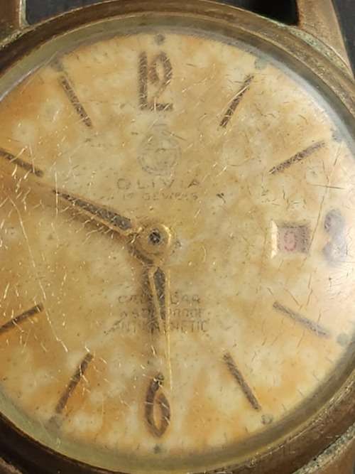 Olivia 17 Jewels Calendar Waterproof Anti Magnetic Men`s Wrist Watch (working on/off) - as per photo