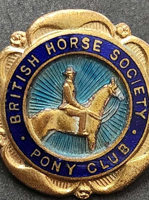 British Horse Society Pony Club Badge - as per photograph