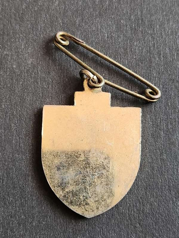 Cape Turf Club Badge 93-94 No. 622 - as per photograph