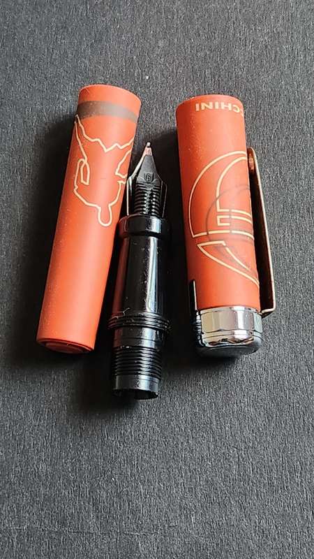 Sergio Tacchini Fountain Pen needs ink(needs refill) - as per photograph