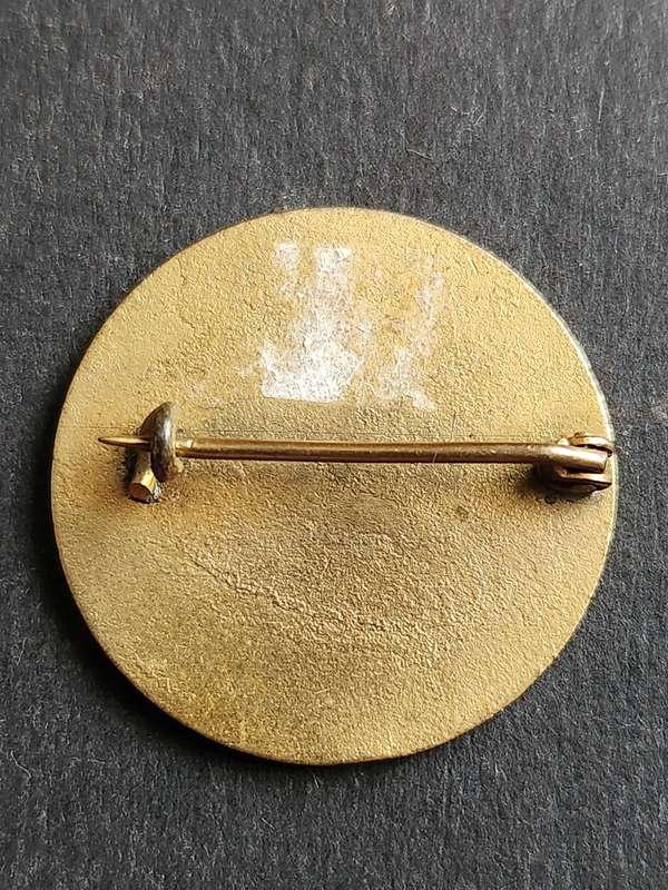 Motherwell Football Club SA Tour 1931 Enamel Pin Badge - as per photograph