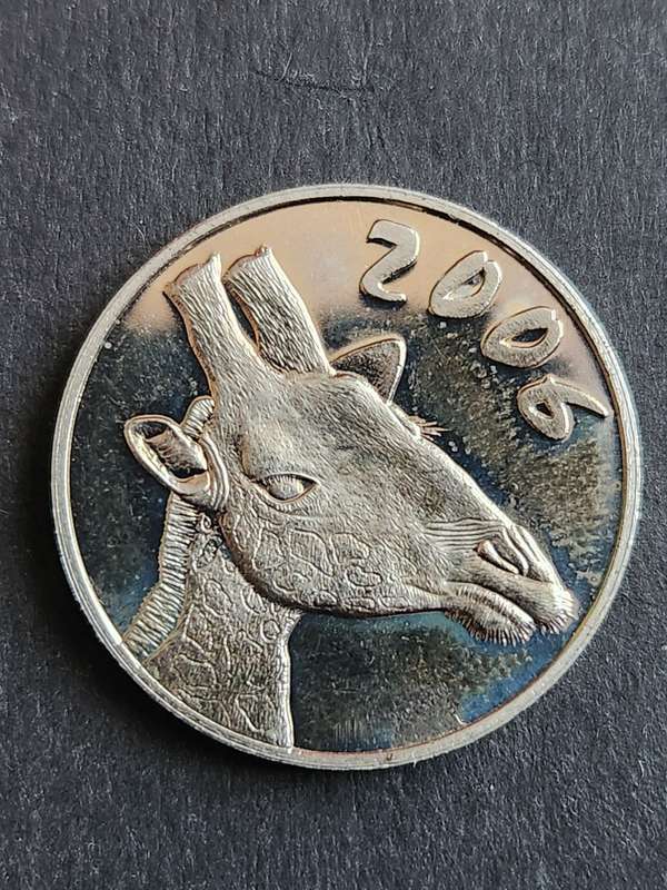 SA Mint Token Coin World 2006 - as per photograph