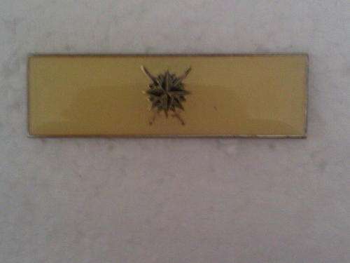 PROPOSED  RR COMMANDO HIGHER FORMATION BAR - ORIGINAL