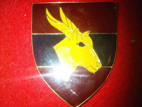20 ENGINEER REGIMENT ORIGINAL METAL FLASH - VERY SCARES