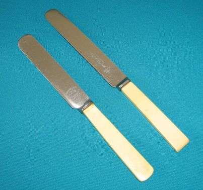 2 OLD BONE HANDLE DINNER KNIVES