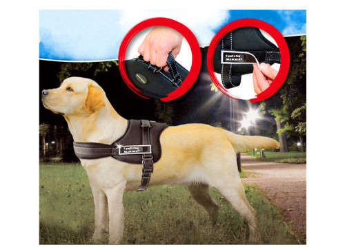PADDED SPORTS DOG HARNESS MEDIUM