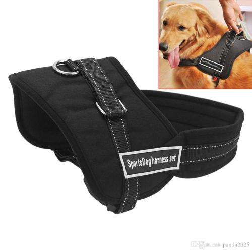 PADDED SPORTS DOG HARNESS MEDIUM