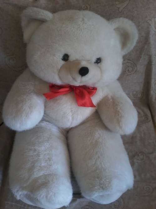 Big Teddy Bear for sale