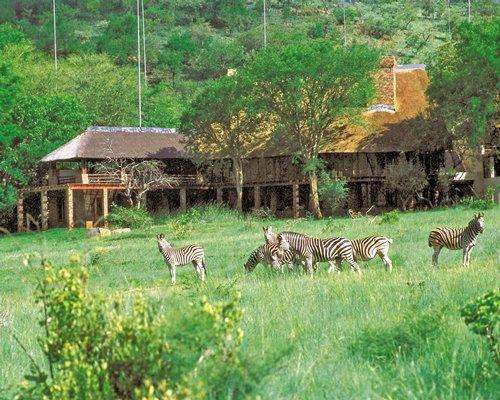 ***PRICE REDUCED**ABSOLUTE BARGAIN!**LUXURY RESORT**Kwa Maritane Bush Lodge** Executive unit(S/C)**