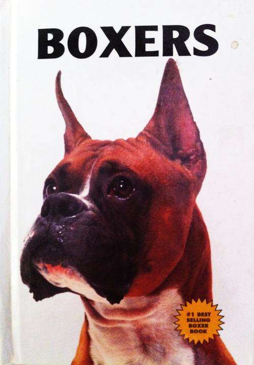 BOXERS