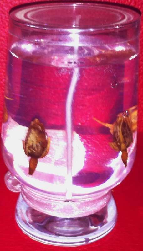 ***CRAZY R1 START!***BEAUTIFUL GEL CANDLE WITH MINIATURE ROSES IN A GLASS WITH LID! UNUSED!