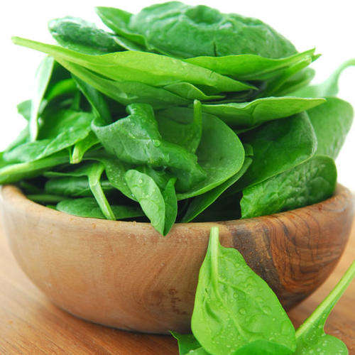 LOT OF 10 BABY SPINACH (DASH) SEEDS