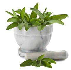 SAGE HERB (Salvia Officinalis) : LOT OF 10 SEEDS