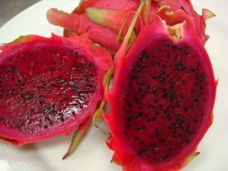 Exotic Bright Neon Pink Dragon Fruit Seeds, Lot of 12 seeds (R56 Shipping)