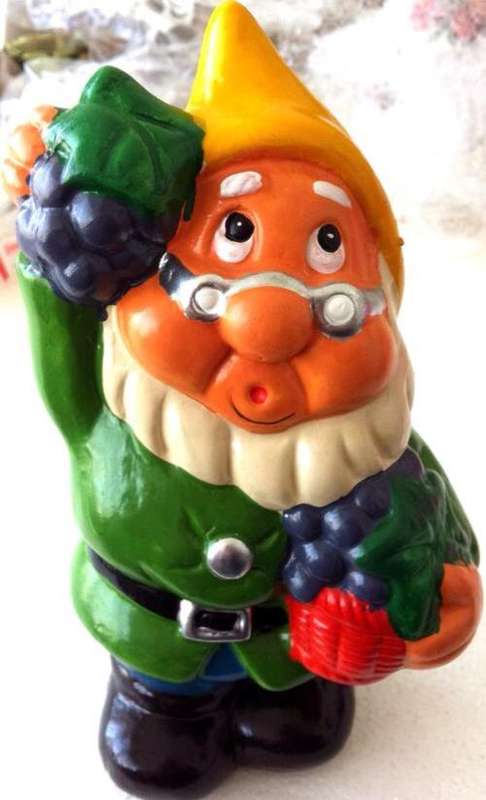 "Grapes galore!" ADORABLE CHEERFUL BRIGHT-EYED GARDEN GNOME! Approx. 20cm H