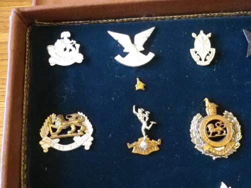 RHODESIA - REUTELER SET OF UDI RHODESIAN ARMED FORCES BADGES IN ORIGINAL LEATHER CASE  (4471)